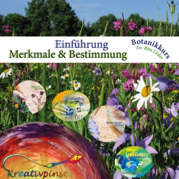 Videokurs: Botanik Einführung Merkmale & Bestimmung Kompaktkurs